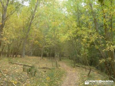 Hoces Río Duratón - Villa Sepúlveda; power walking caminar rápido